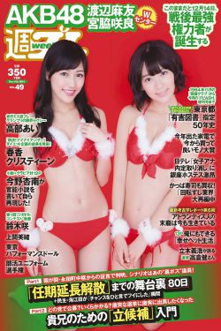 春日浓情电视剧免费观看完整